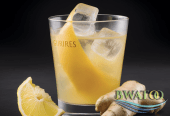 Ginger Bliss: The Ultimate Refreshing Elixir