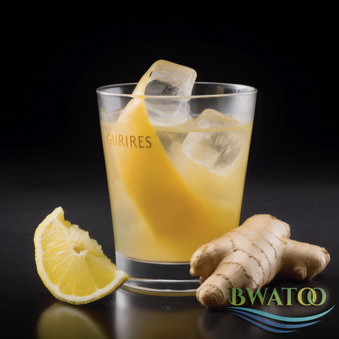 Ginger Bliss: The Ultimate Refreshing Elixir