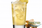 Ginger Bliss: The Ultimate Refreshing Elixir