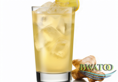 bguinziemba_Ginger_Bliss_The_Ultimate_Refreshing_Elixir_Descrip_c66c172a-894d-4b68-89b5-07e8879fd0ea
