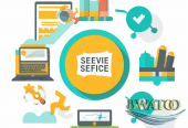 Elevate Your Online Store with Our SEO Expertise