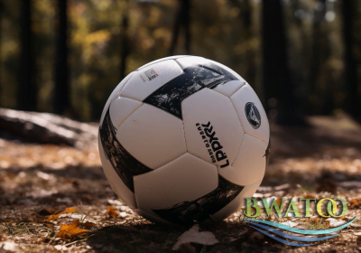 bguinziemba_Premium_Outdoor_Soccer_Ball_-_Durable_All-Weather_M_21b99190-9637-40d5-ad56-c3743d17d374