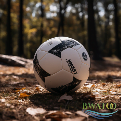 Premium Outdoor Soccer Ball – Durable, All-Weather Match Ball