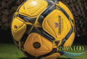 Premium Outdoor Soccer Ball – Durable, All-Weather Match Ball