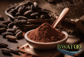 Cocoa and Chocolate Products