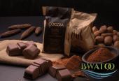 Cocoa and Chocolate Products